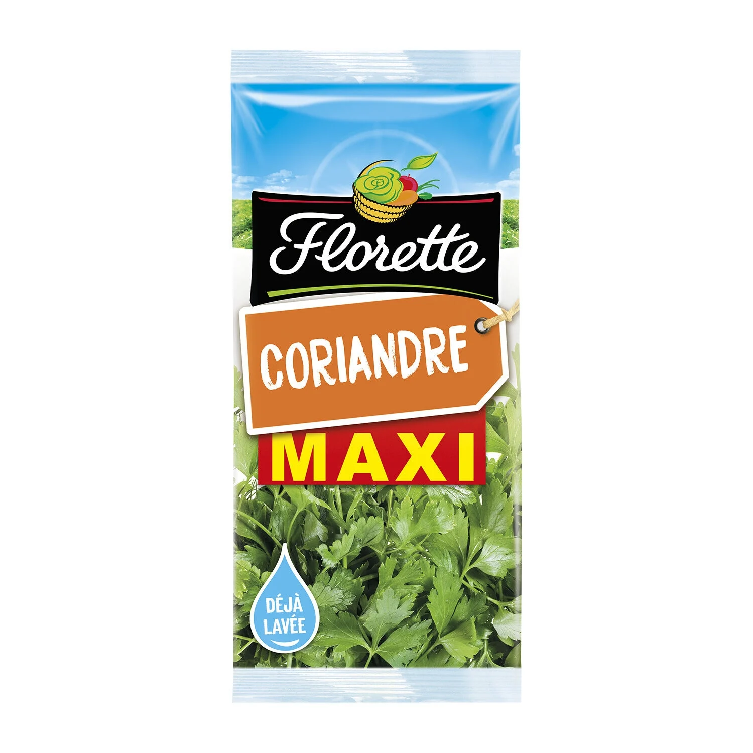 Florette di coriandolo da 30 g