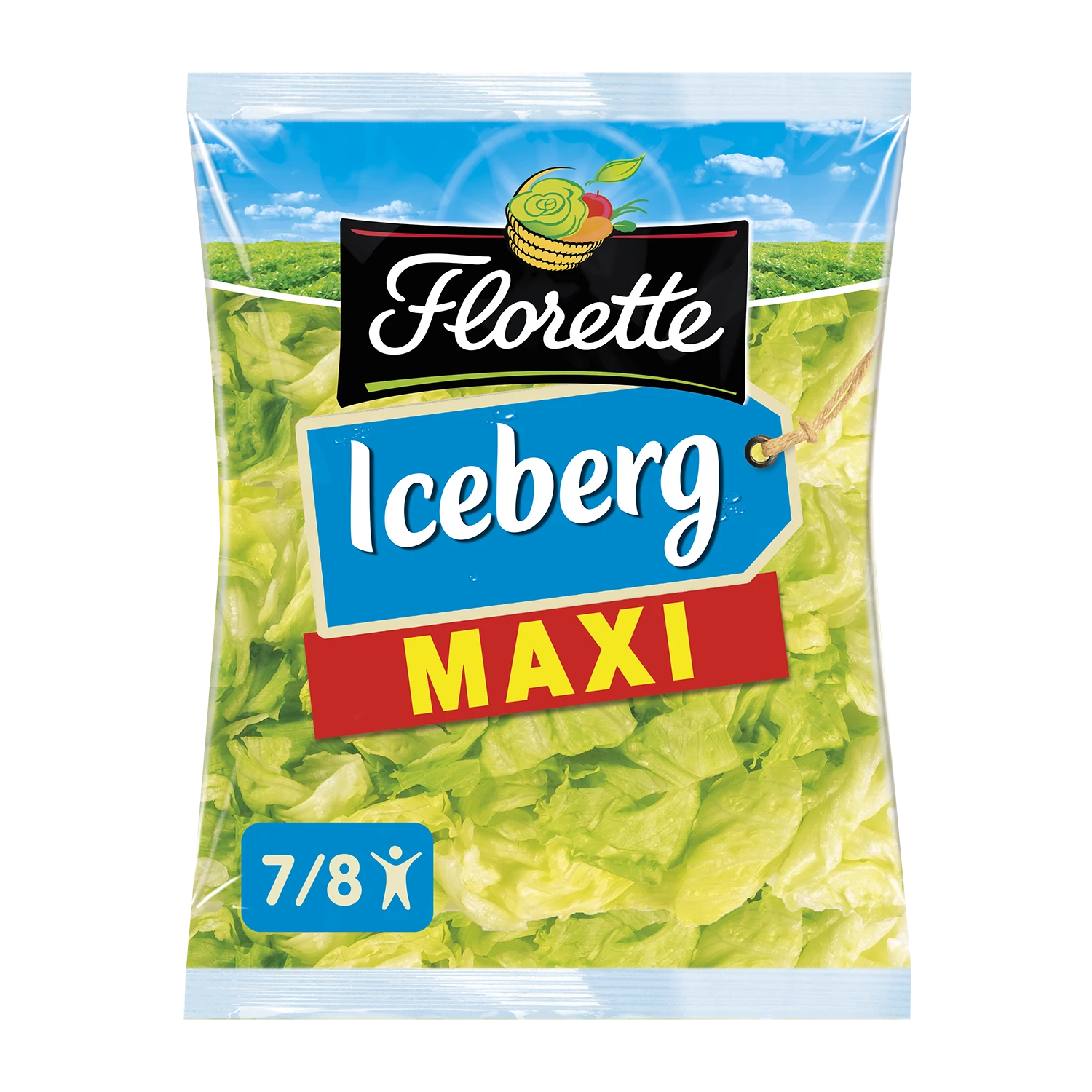 Maxi Iceberg 600gr