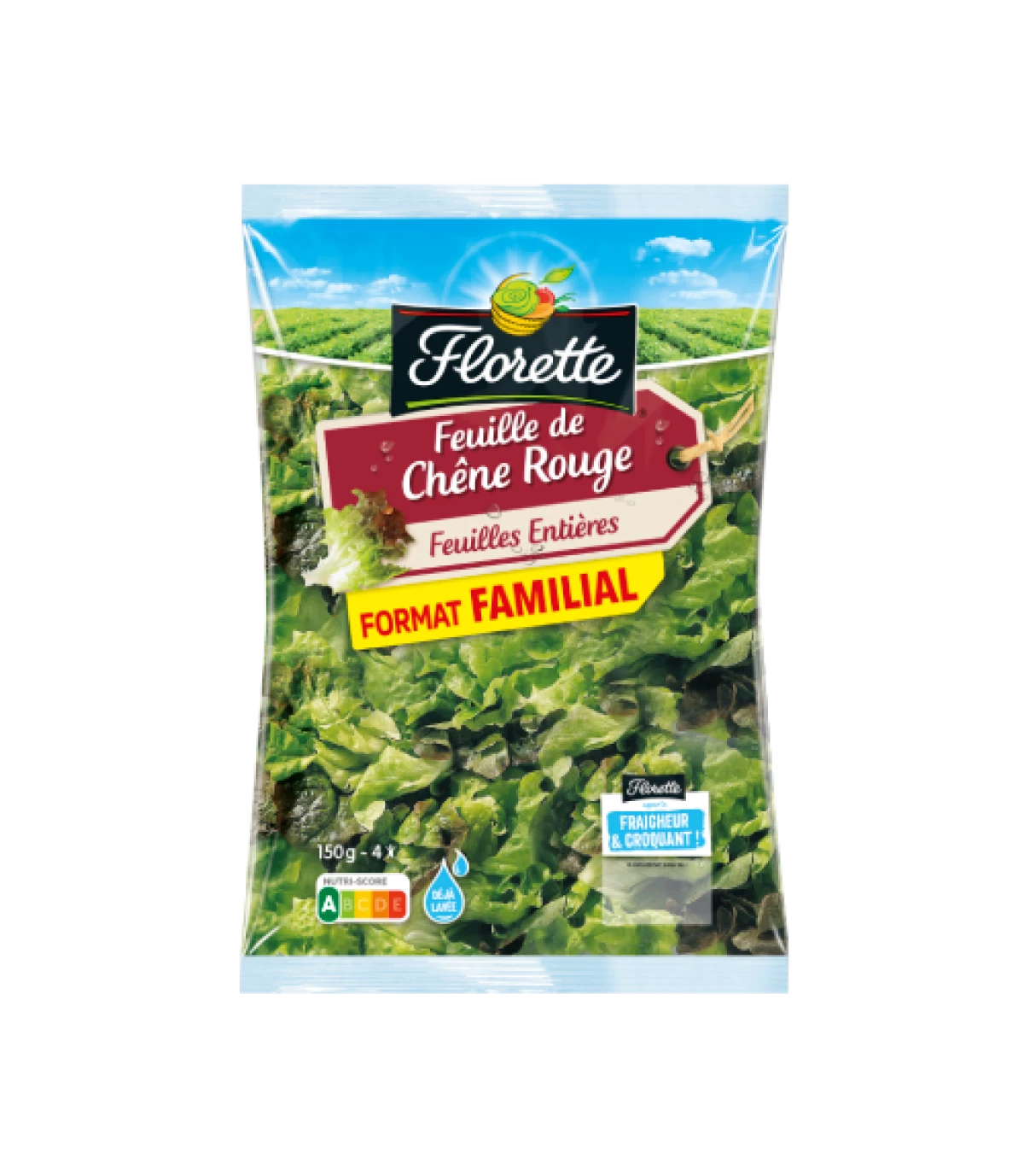 Red oak leaf 150g