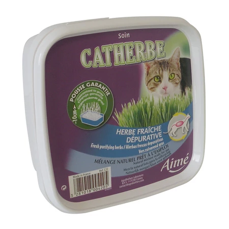 Catherbe