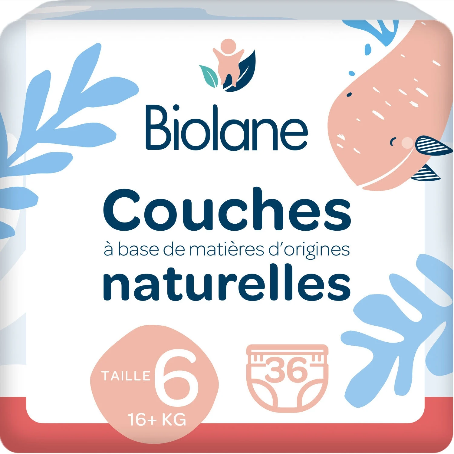 X36 Culottes T6 Biolane