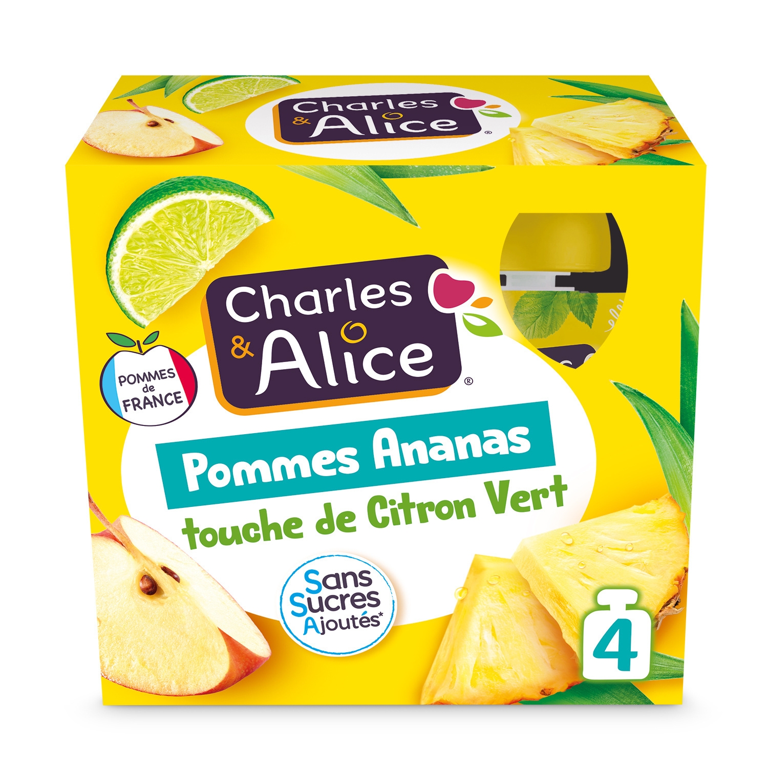 4x90g Gourde P Ananas Cvert Ca