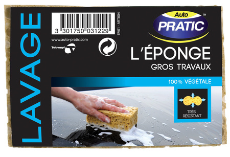 Eponge Vegetale