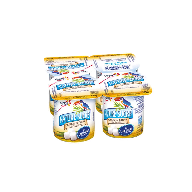 Sweetened Plain Yogurt - Yoplait