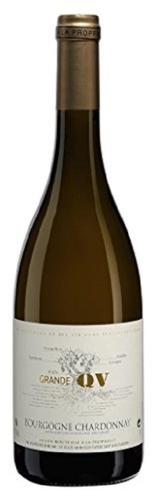 Bour.chardonnay Rodier 24