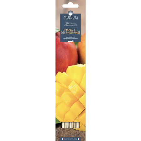 20 Bat D Encens Mangue