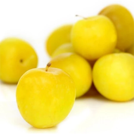 Bq 400g Prune Jaune Fr