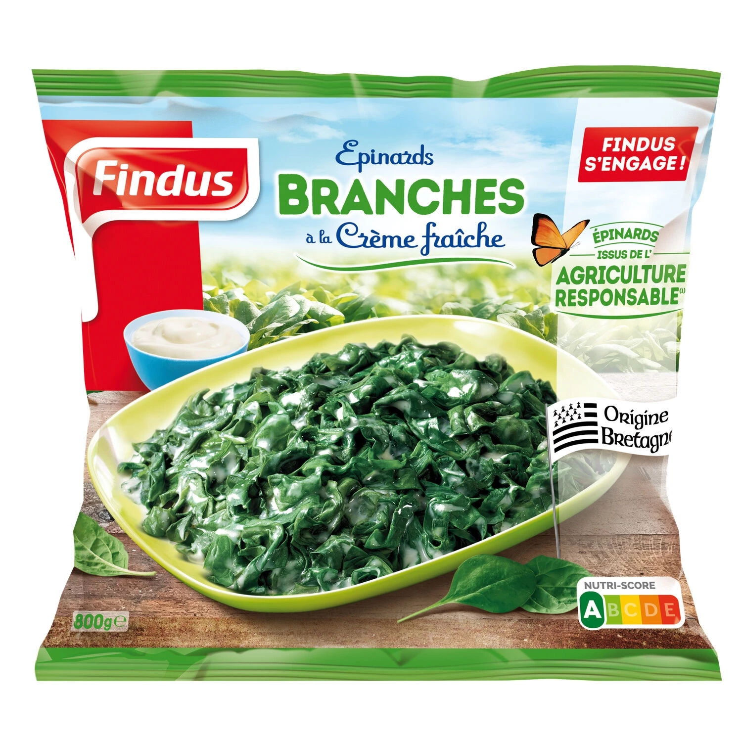 800g Kem Epinards Branches