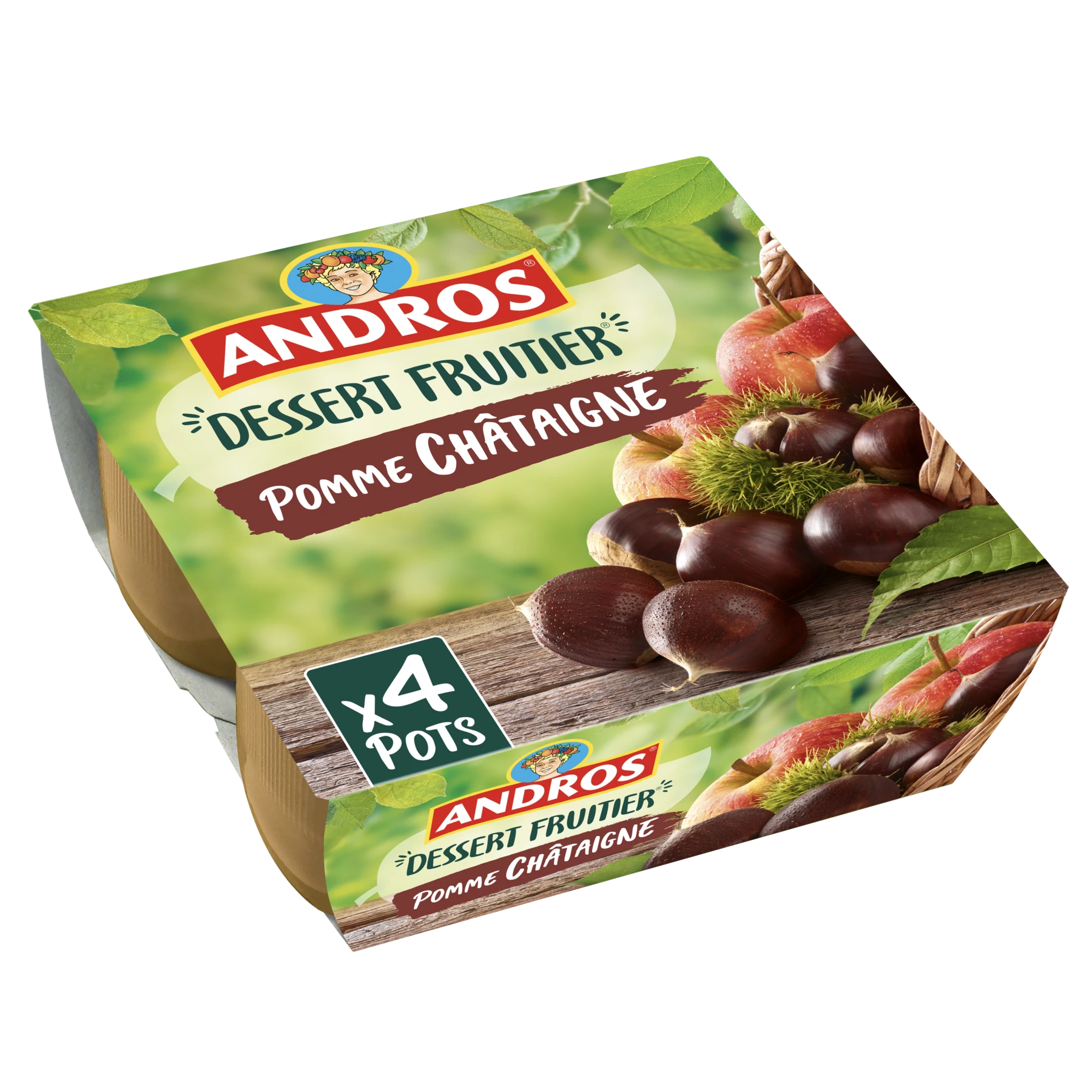 Andros Pomme Chataigne 4x100g