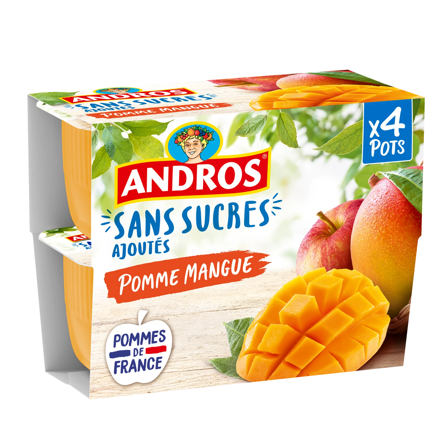 Andros Pomme Mangue Ssa 4x100g