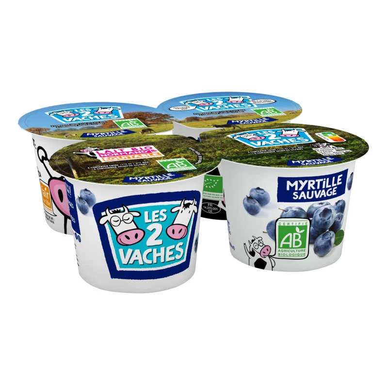Organic Blueberry Yogurt 4x115g - LES 2 VACHES