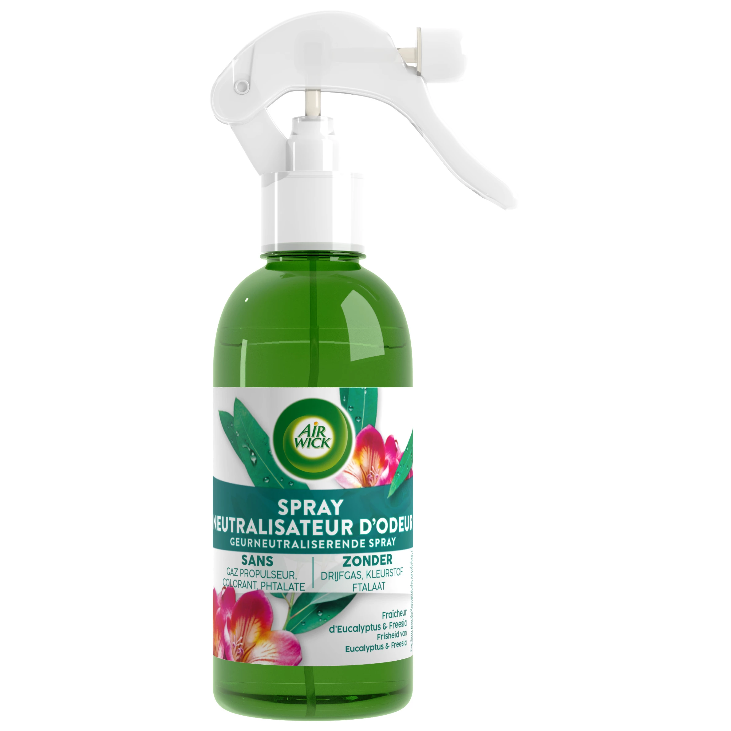 Lavage de tapis à l'eucalyptus - 4 oz en vente B2B