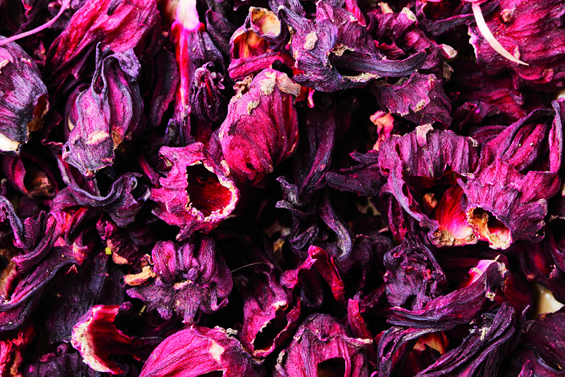 Fleurs D Hibiscus Rouge Sac De 15 Kg - RACINES