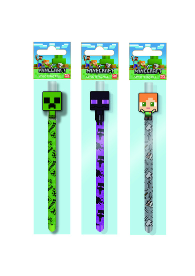 Roller Gel Effacable Minecraft