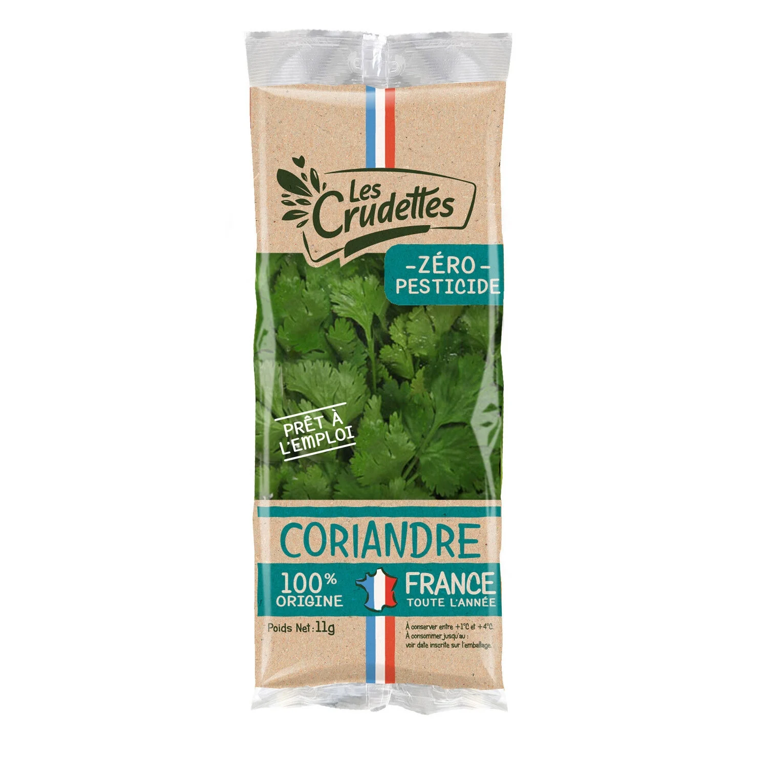 11g Coriander Origin France