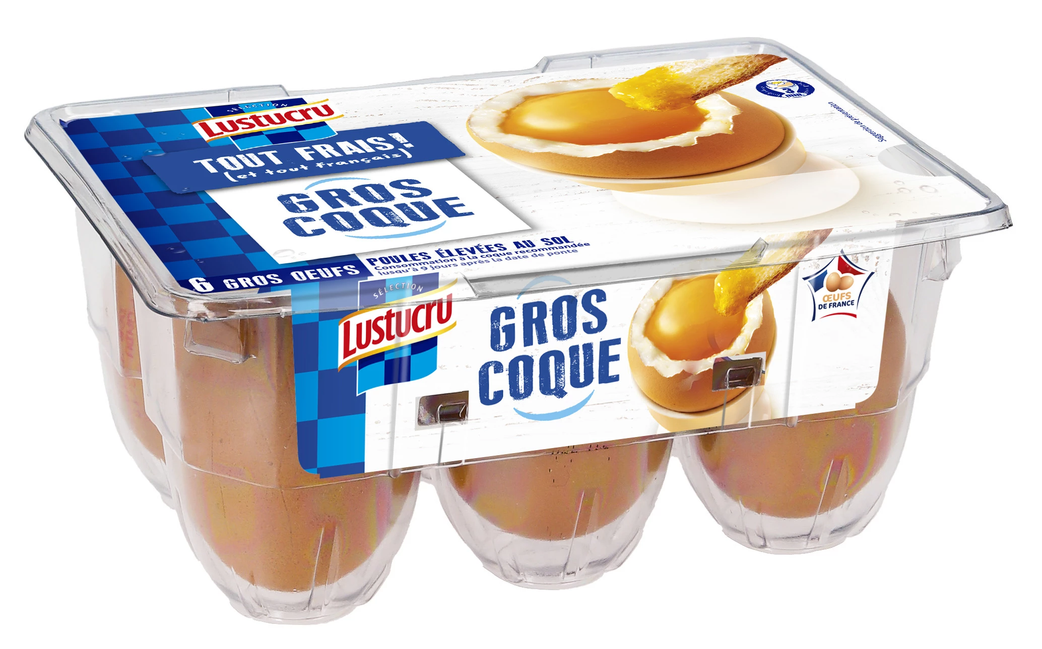 Lustu egg big soil x6