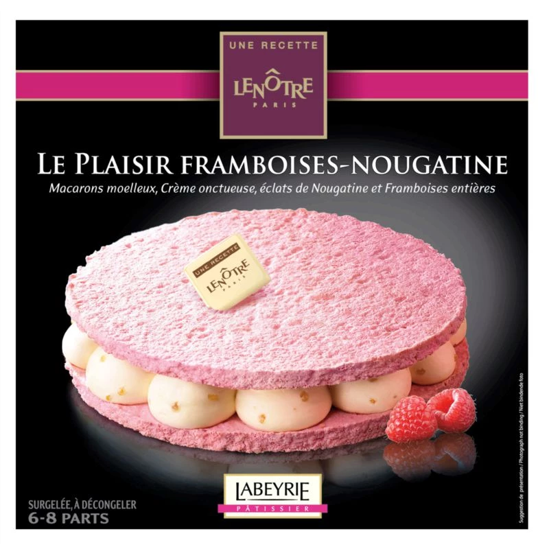 Dessert glacé framboise & nougatine 410g - LENÔTRE