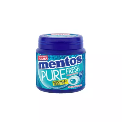 Kaugummi Pure Fresh Sans Sucre 100g - Mentos