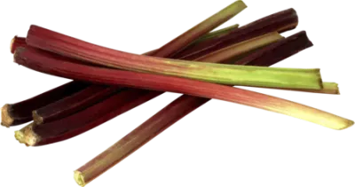 Rhubarbe Vrac Au Kg