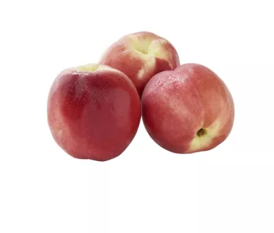 Nectarine Blanche Vrac