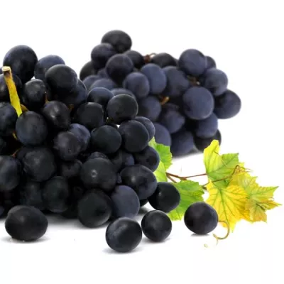 Raisin Muscat Vrac