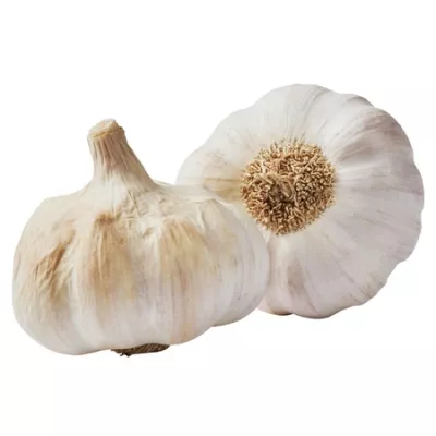Ail Vrac Kg