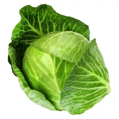Pieza de Chou Vert - AUTRES MARQUES