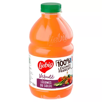 Soupe Veloutée de Légumes du Soleil -LIEBIG