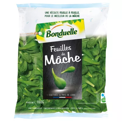 Feuille De Mache 100g Bonduell