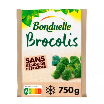 750 g de brócoli en floretes srp - BONDUELLE