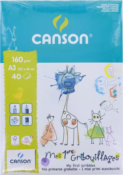 Bloc Canson Dessin 40f A3