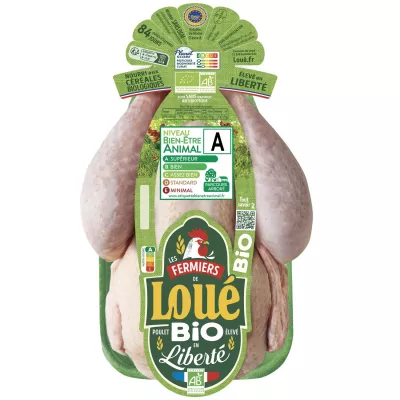 KG PLC BLC BIO