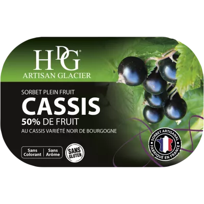 Sorbetto al Cassis 487,5 g - Histoires De Glaces
