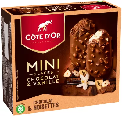 Glace vanille et chocolat x3 - COTE D'OR