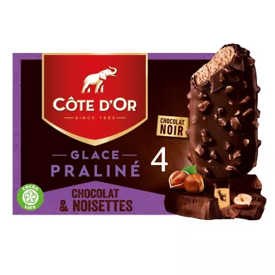 Sorvete Praliné de Chocolate Amargo e Avelã 260g - Cote D'or