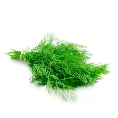 Fresh Dill Boot - AUTRES MARQUES