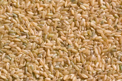 Riz Rond Cargo 25 Kg - RIZ DU MONDE