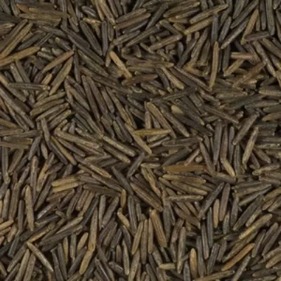 Riz Sauvage Usa  25kg - RIZ DU MONDE