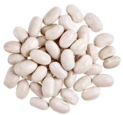 Haricots Gros Chine 800g - Legumor