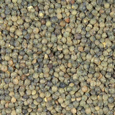 Groene Linzen Frankrijk 25kg - Legumor