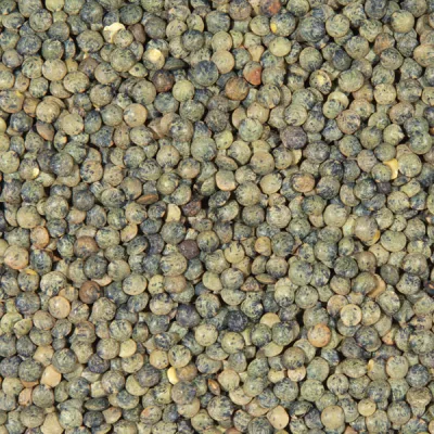Lentilles Vertes 10kg - LÉGUMOR