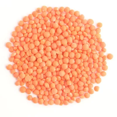 Whole Hulled Football Red Lentil 25kg - Legumor
