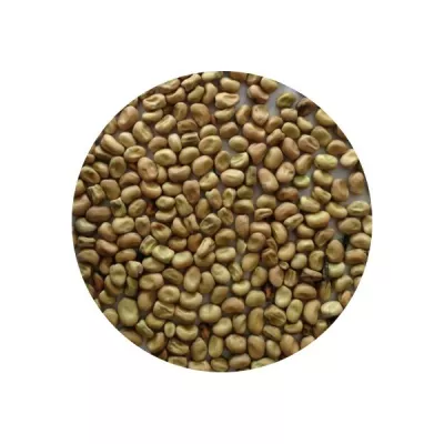 发烧乐 1kg - LÉGUMOR
