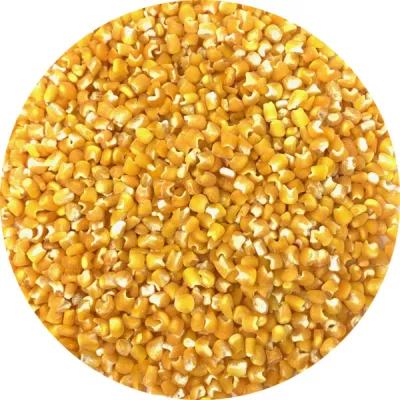 Mais D Germ Jaune 25kg - LÉGUMOR