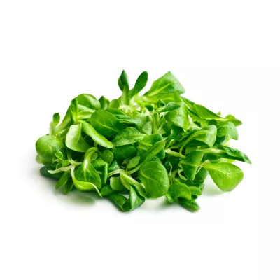 マキシマッシェ 200G