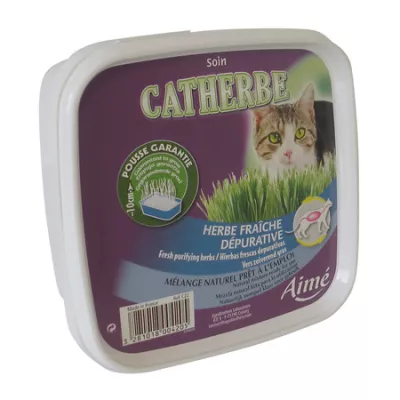 Catherbe