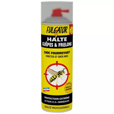 Insetticida per vespe e calabroni 500ml - FULGATOR