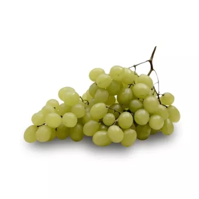 Bio Rais Blc Ss Pepin 500g Fr