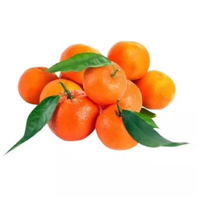 Clementine Feuille Pitufo 2kg