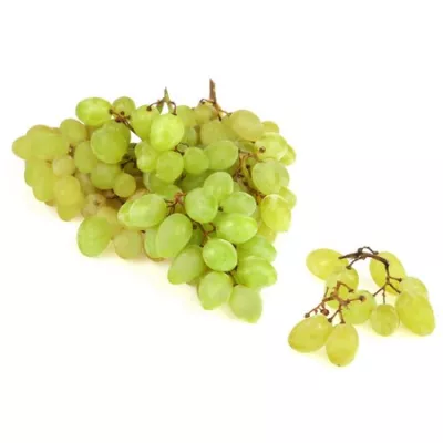 Bq Raisin Blc S Pepin 500g Fr